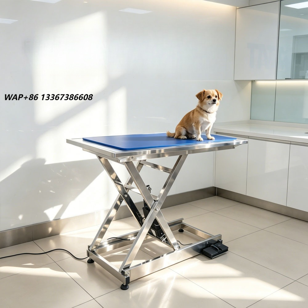 ⚠ AT animal X-ray examination  - Veterinary X-Ray 评论和价格
