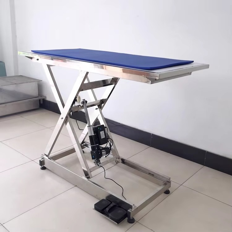 ⚠ AT animal X-ray examination  - Veterinary X-Ray 评论和价格