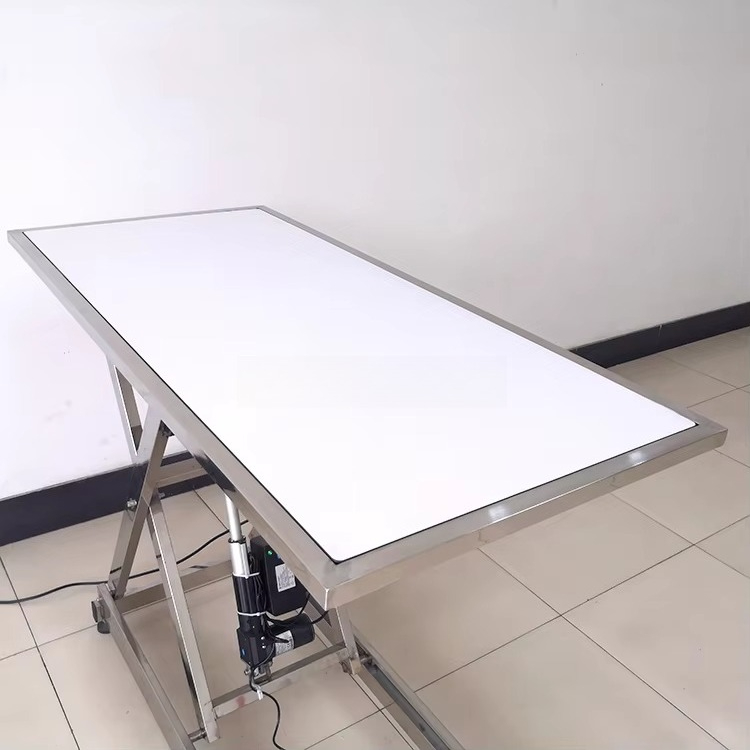 ⚠ AT animal X-ray examination  - Veterinary X-Ray 评论和价格