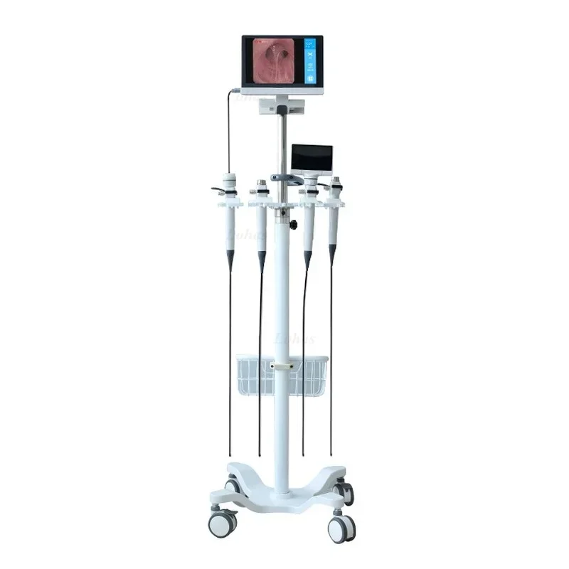 LHBF Por HD Video  Flexible Br - Medical Lab Video 评论和价格